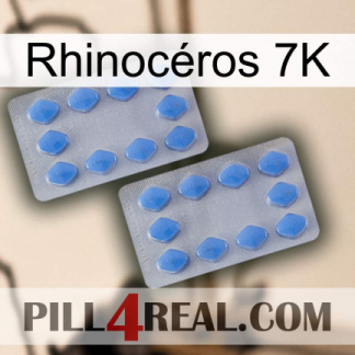 Rhinocéros 7K 20